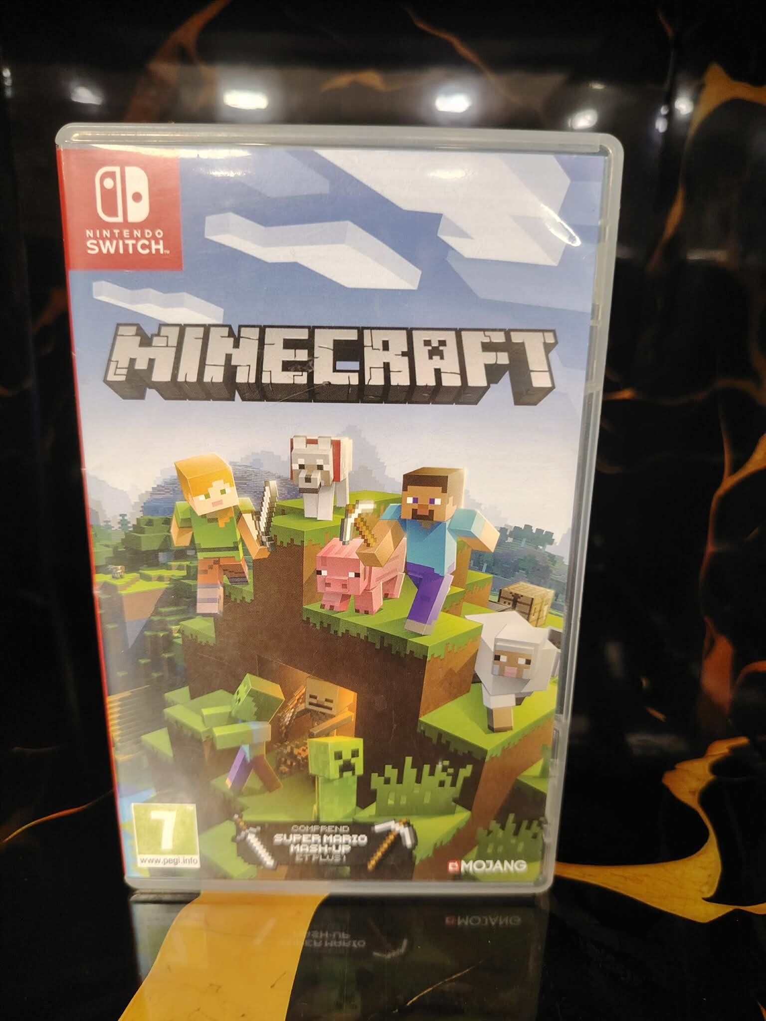 Minecraft Switch
