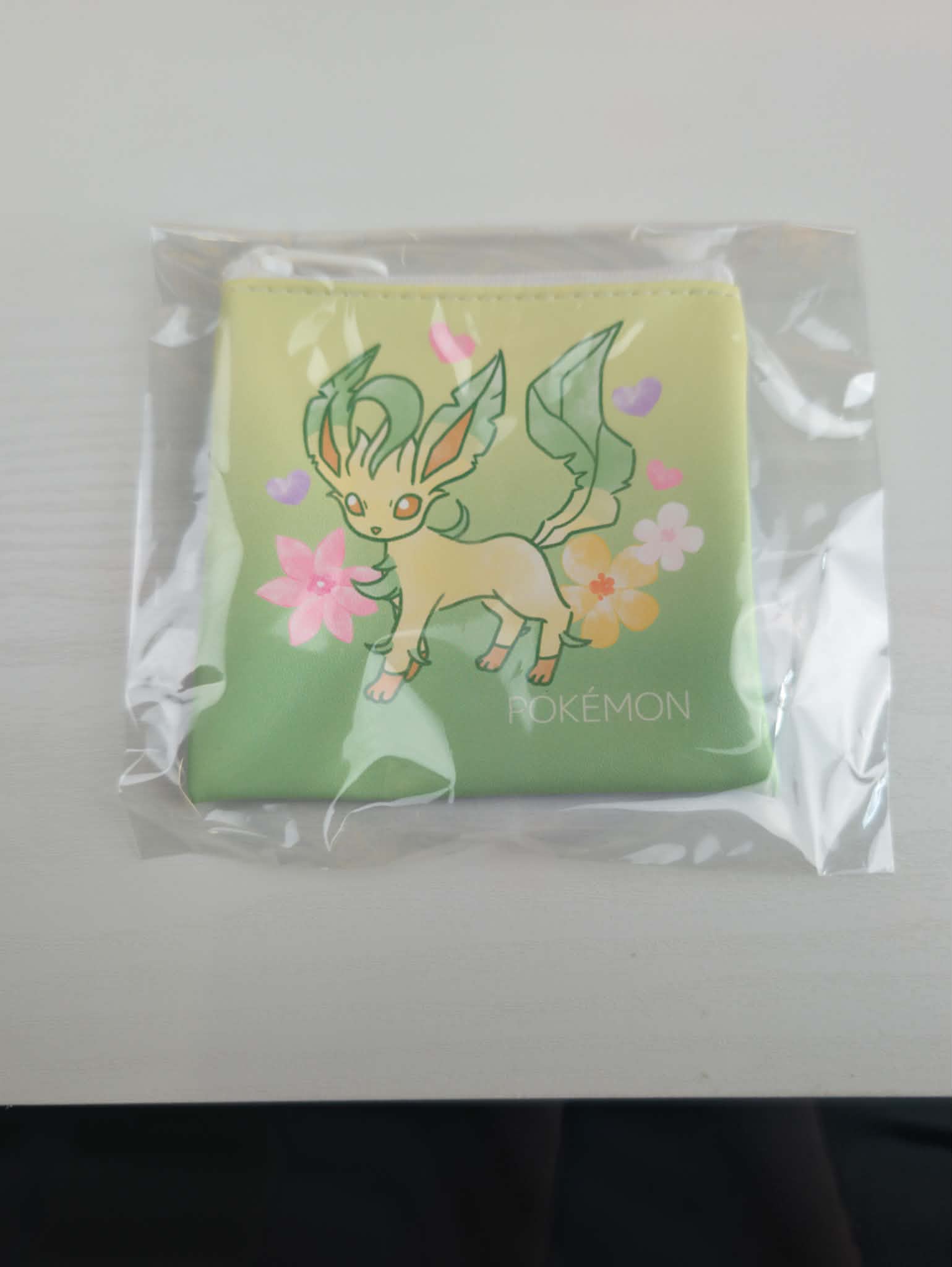 pochette evolition PAS