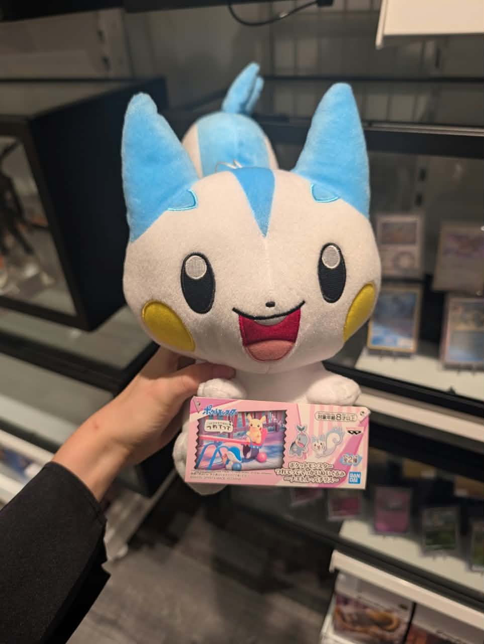 peluche pashirisu 1