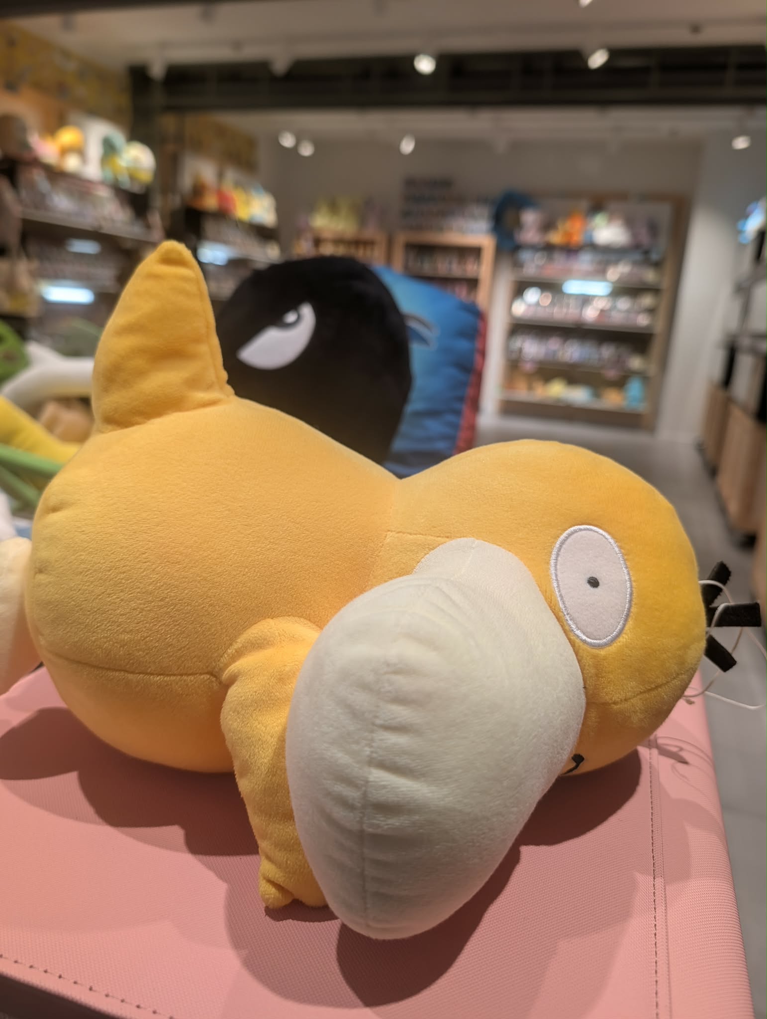 peluche psykokwak 2 PAS