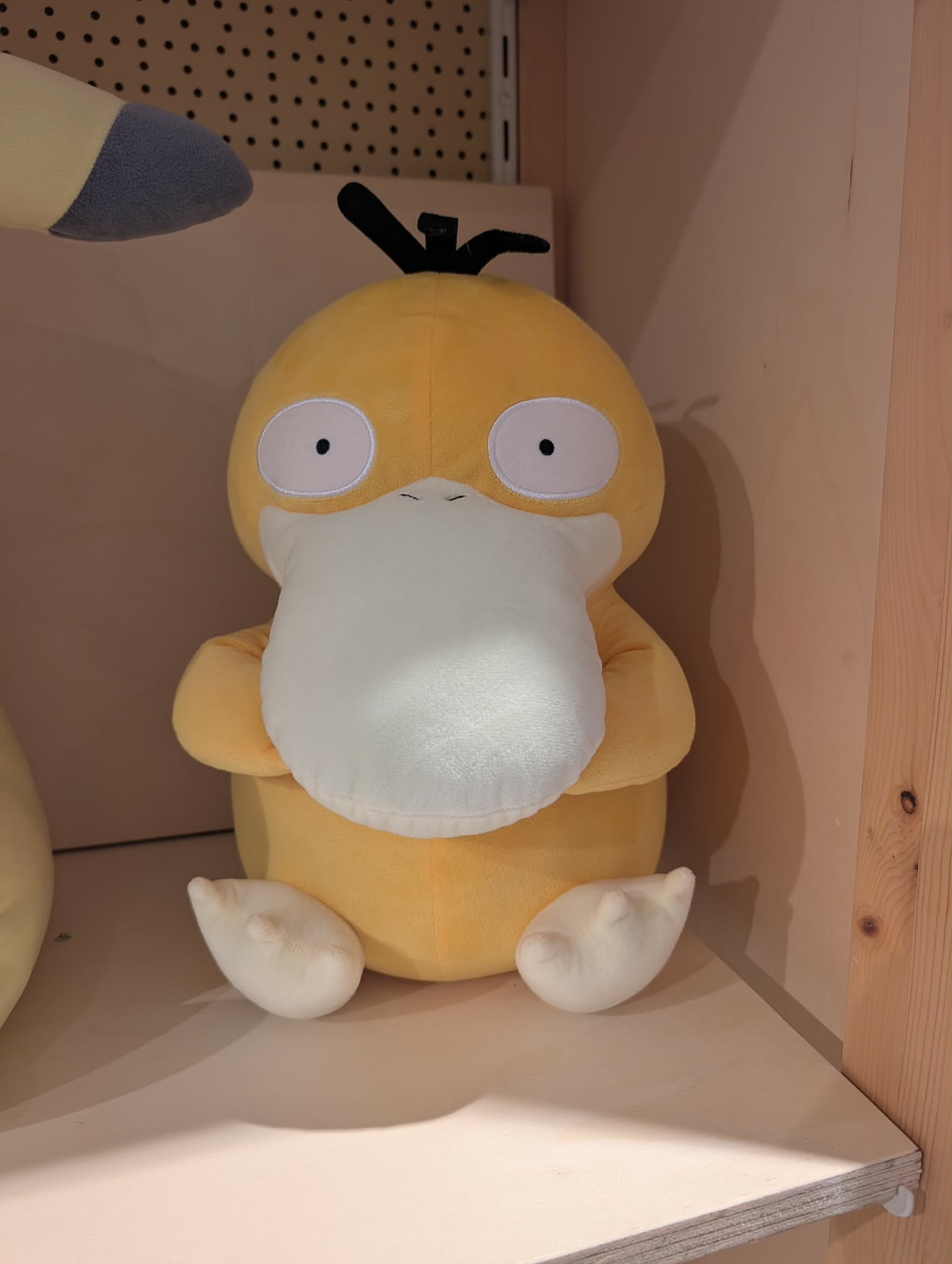 psykokwak pas
