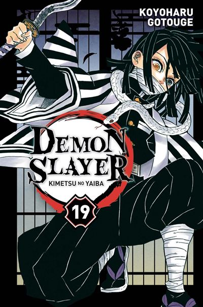 Demon Slayer - Tome 19 : Demon Slayer T19