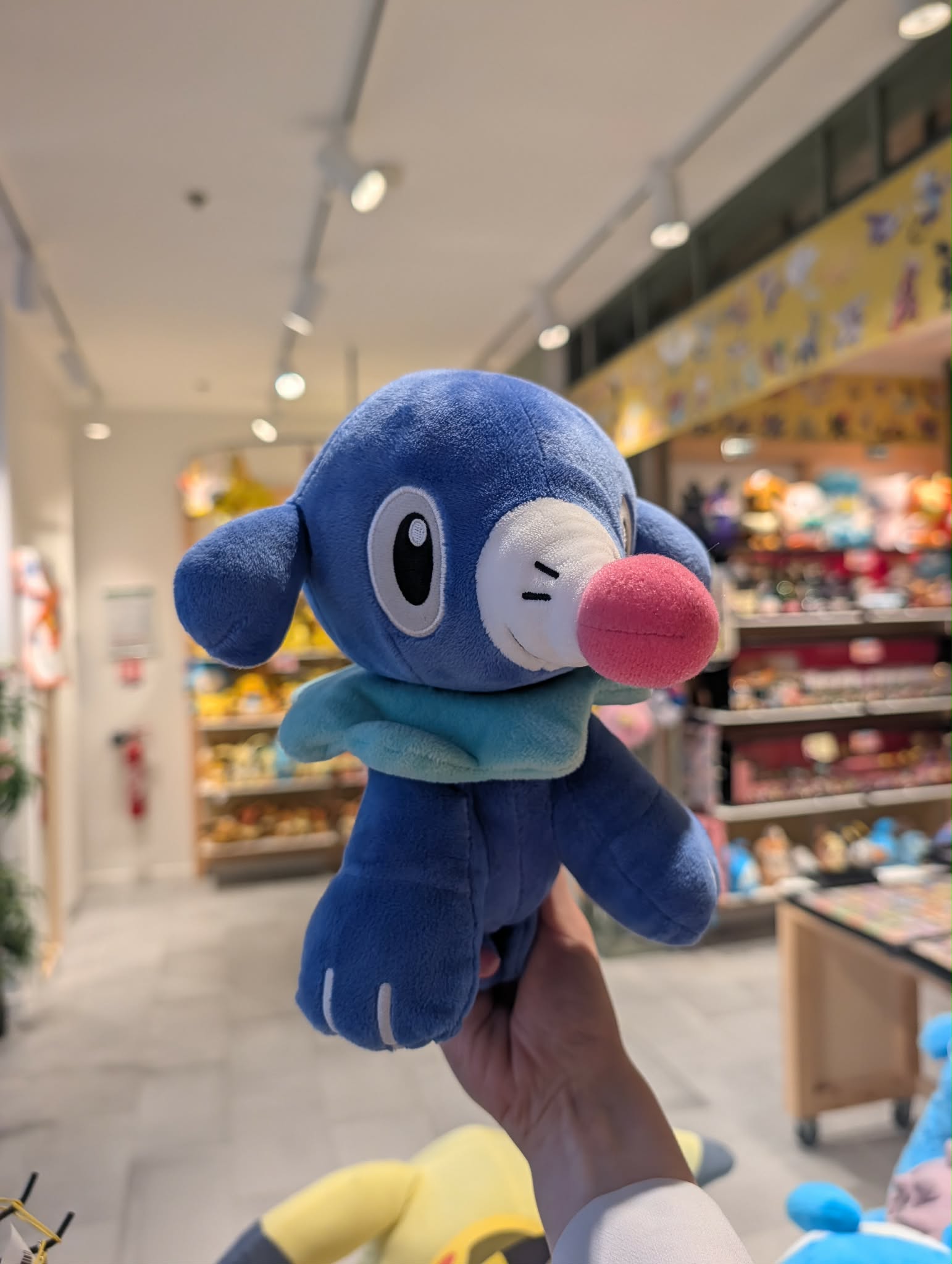 otaquin PAS