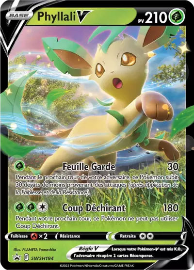 CARTE SWSH194 FR TIJU