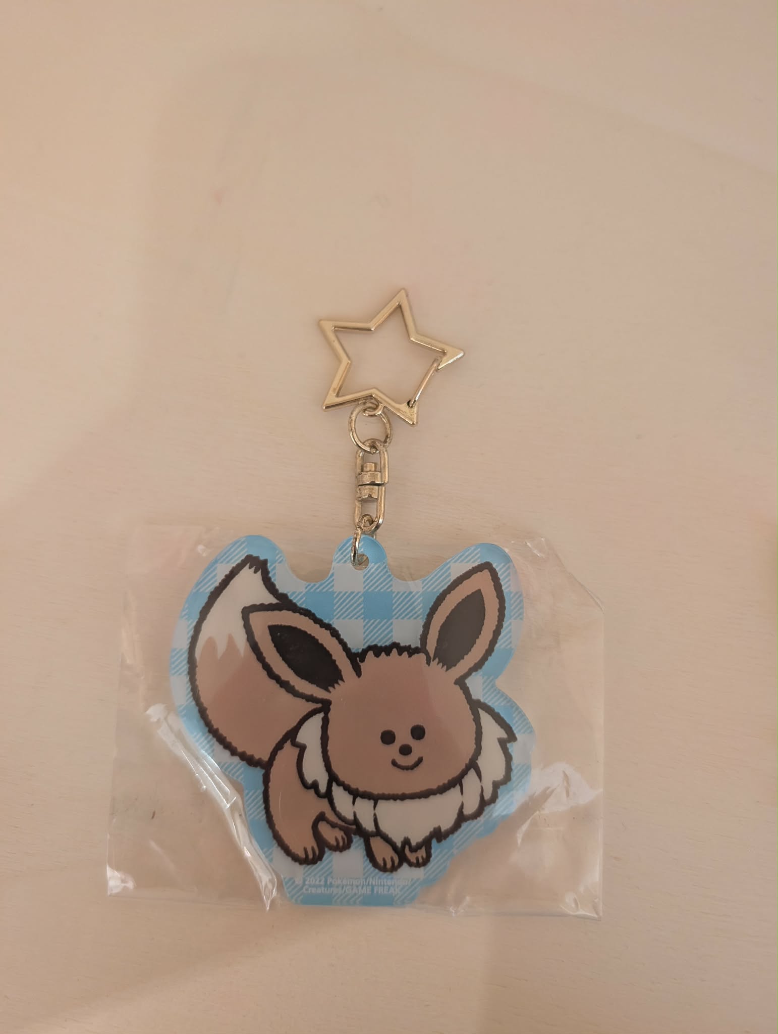 porte cle evoli pas