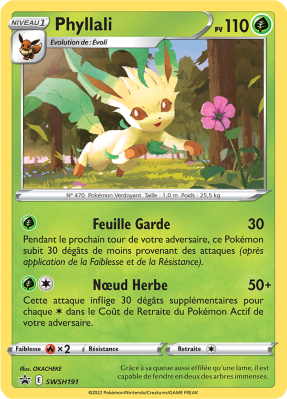 carte swsh191 fr