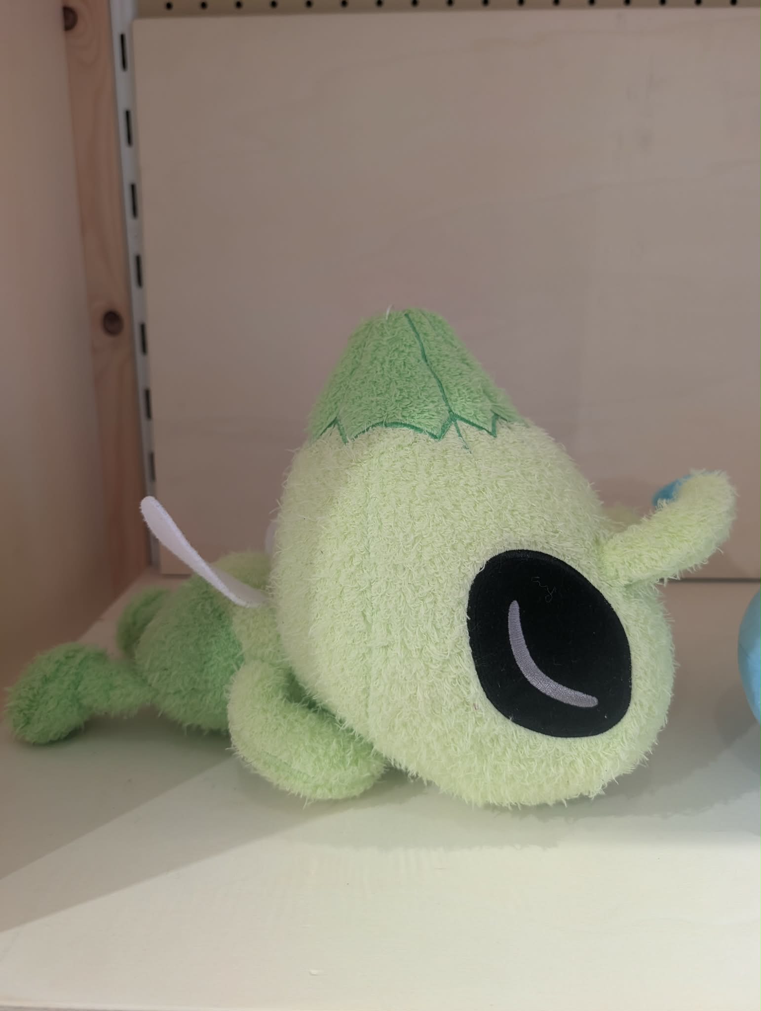 celibi pas