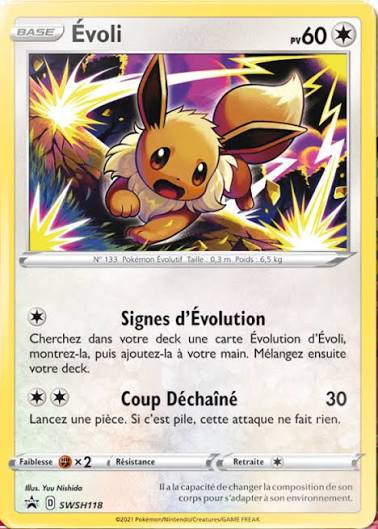 carte swsh118 fr