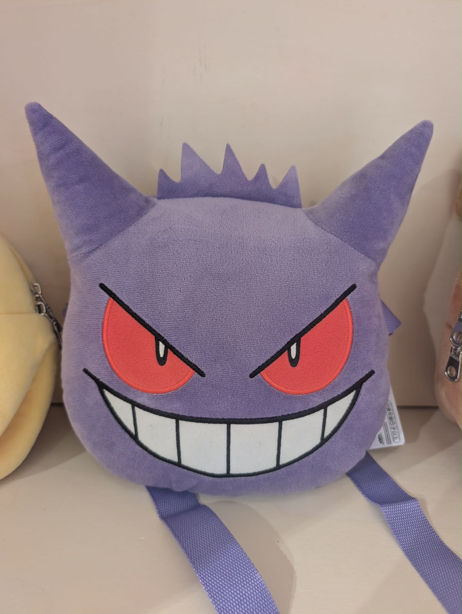 sac ectoplasma pas