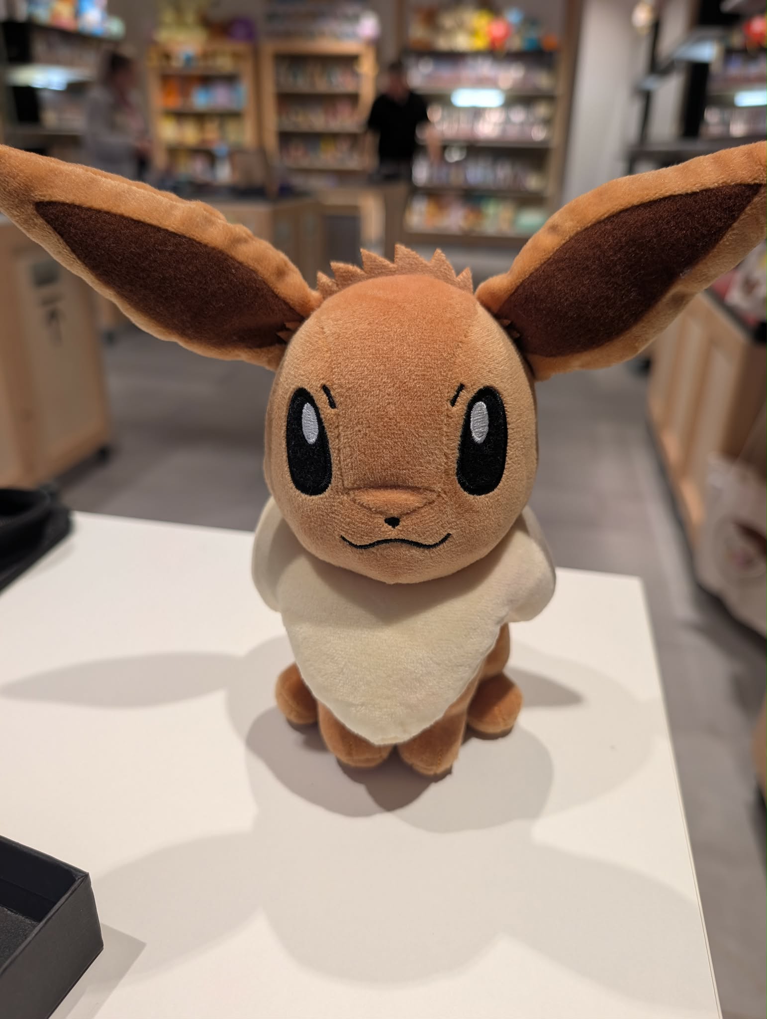evoli 21 PAS