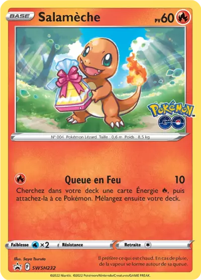 CARTE SWSH232 FR TIJU