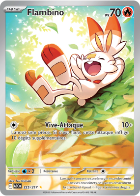 carte 225/217 fr