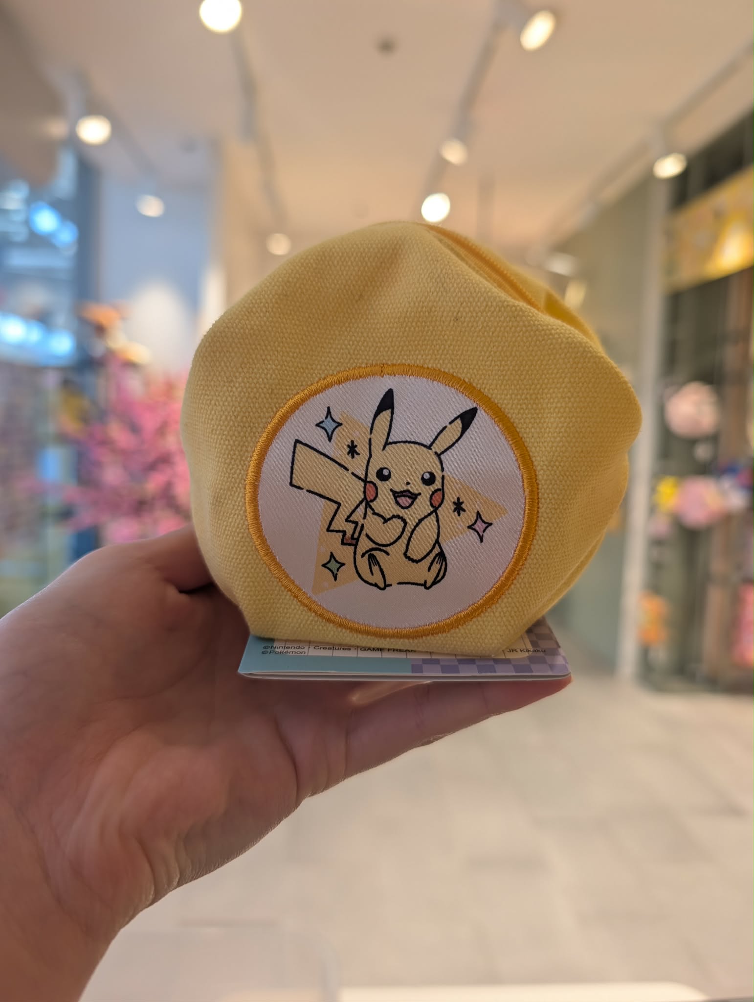 pochette pikachu 5 PAS