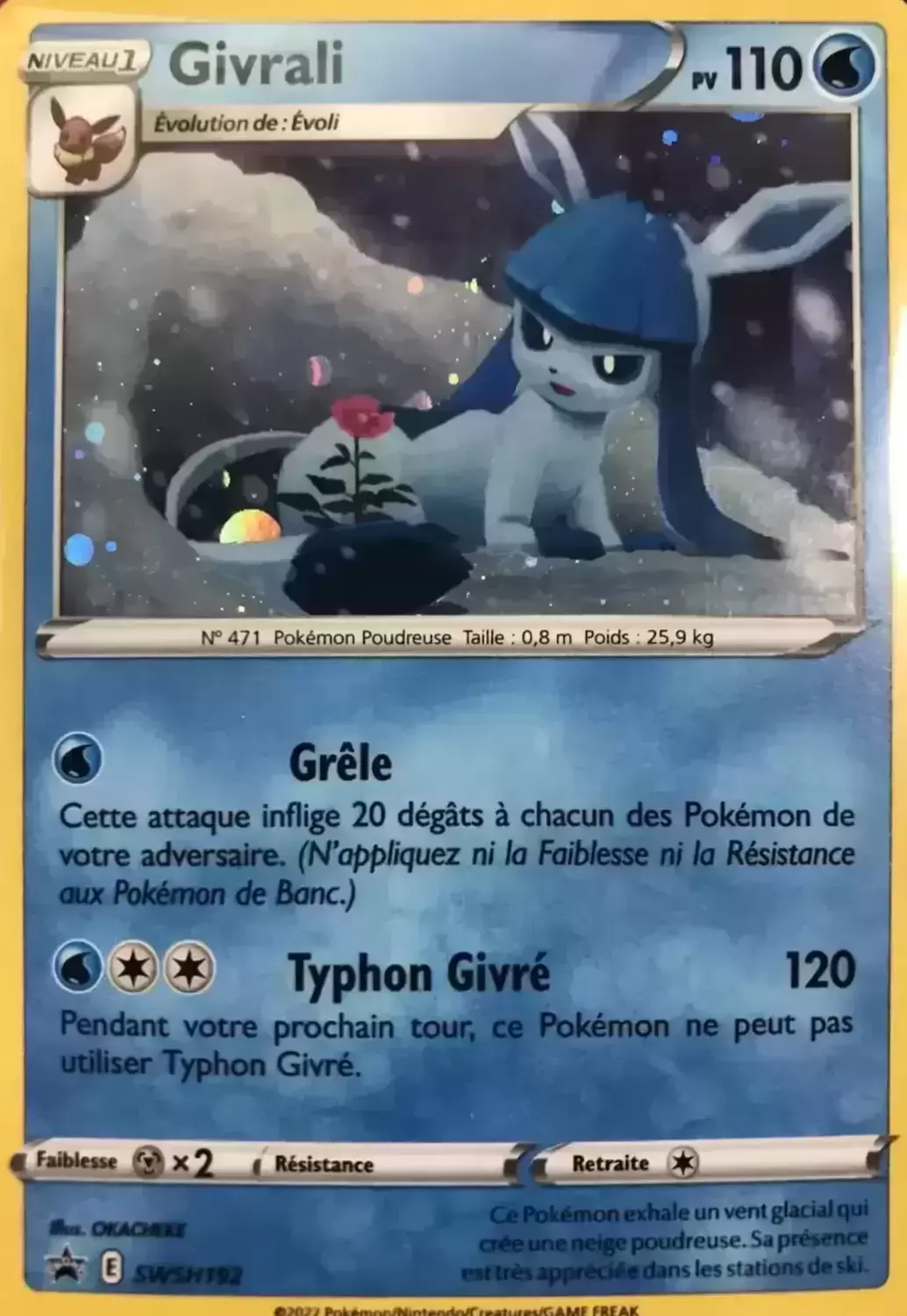 carte swsh192 fr