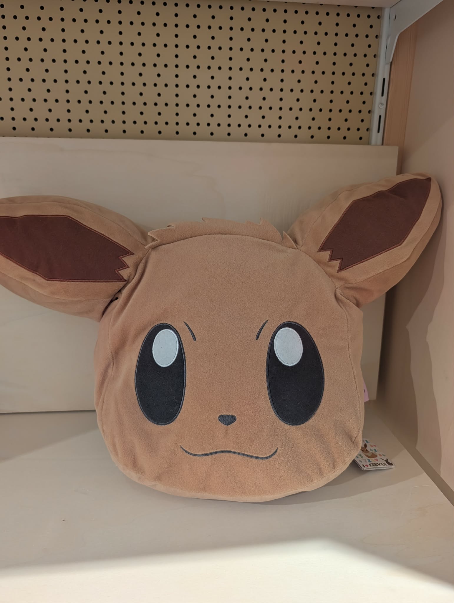 coussin evoli pas