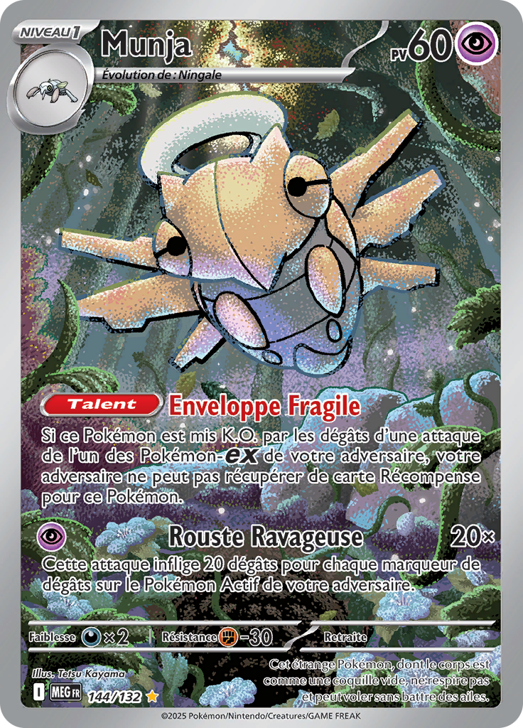 CARTE 144/132 FR TIJU