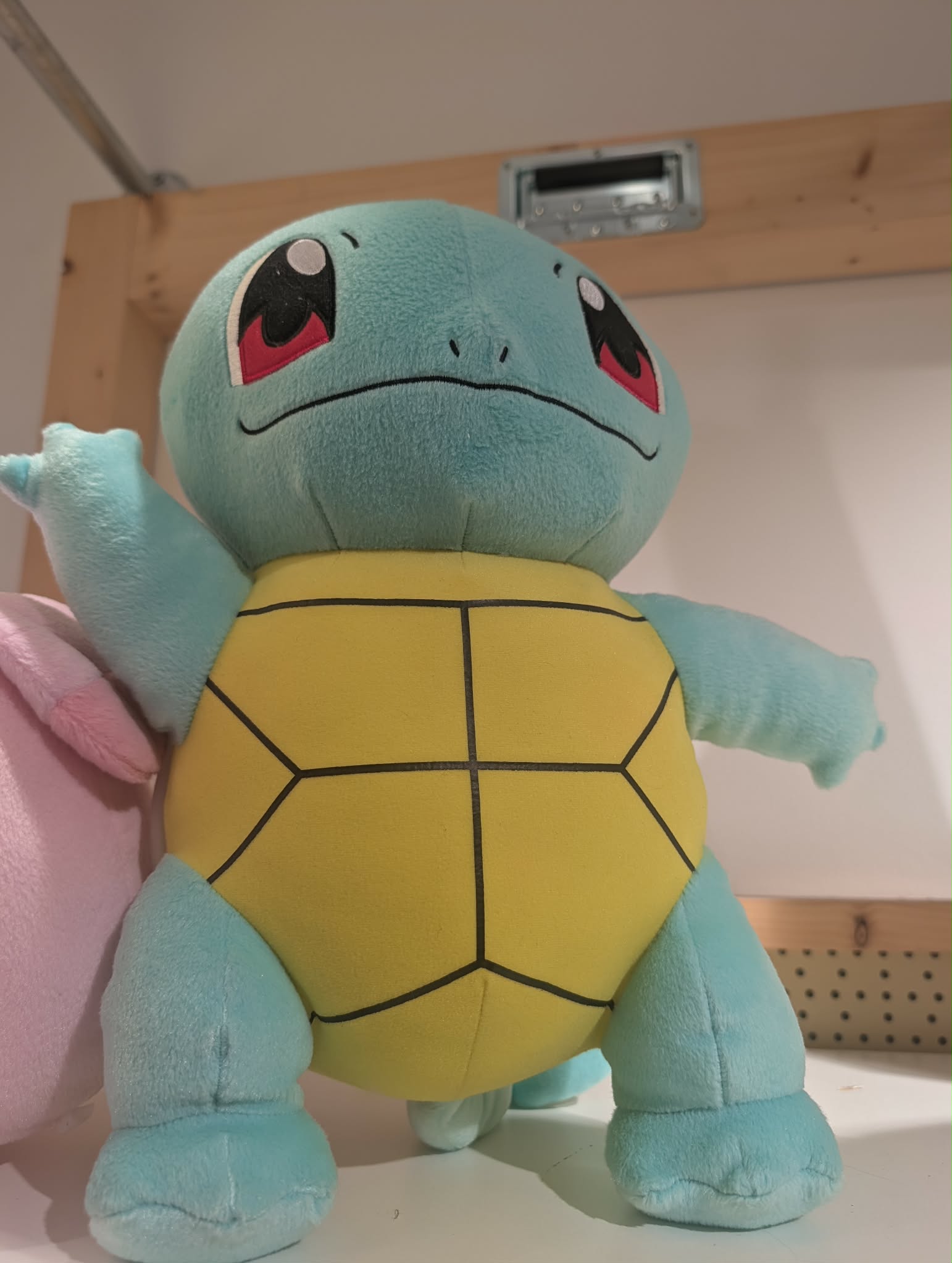 peluche carapuce 2 pas