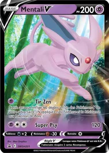 carte swsh201 fr