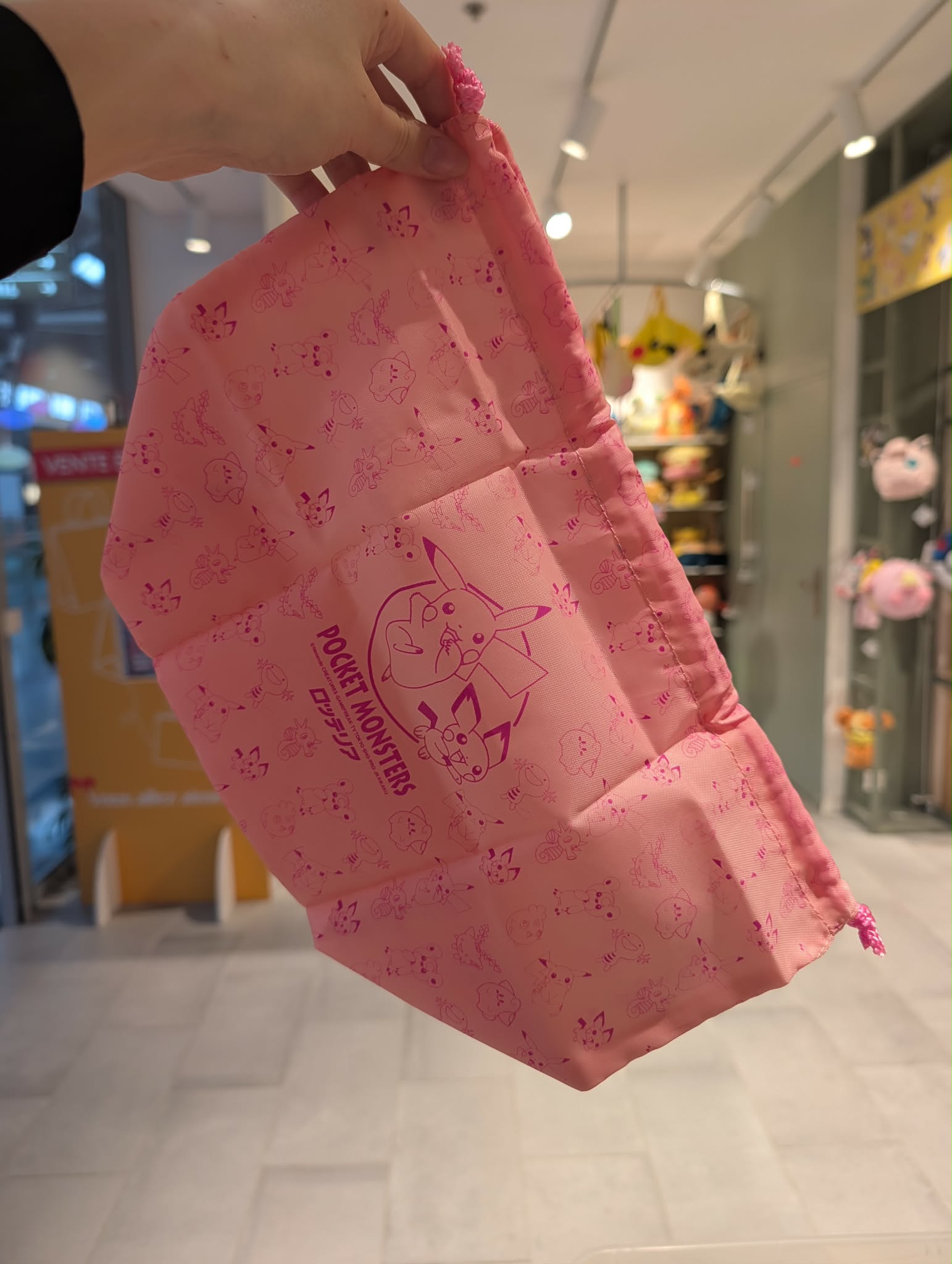 pochette pikachu x pichu PAS