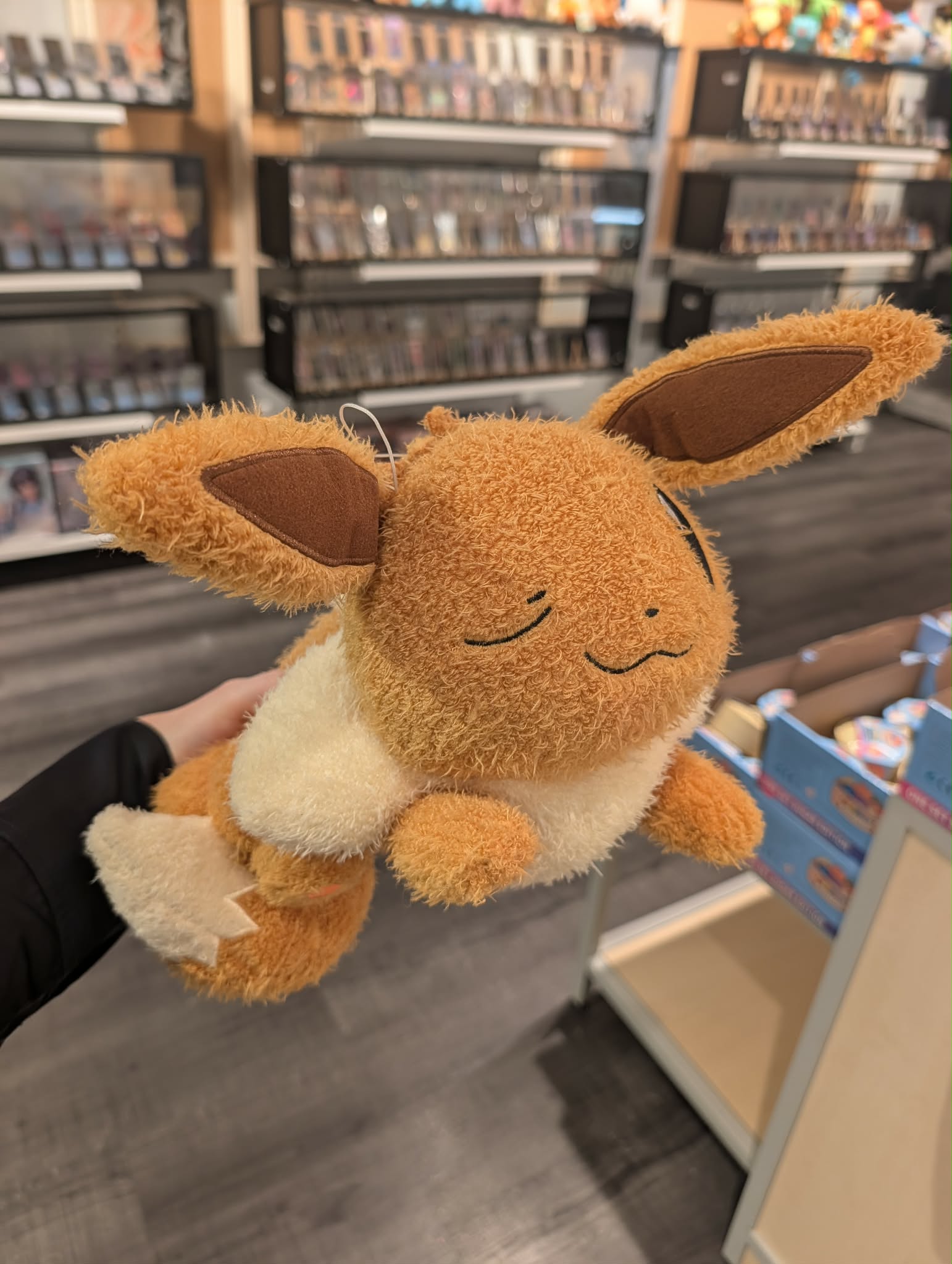 peluche evoli 2
