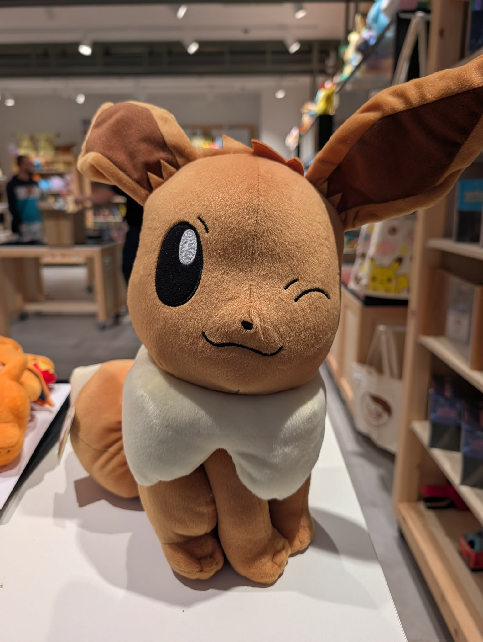 evoli 20 PAS