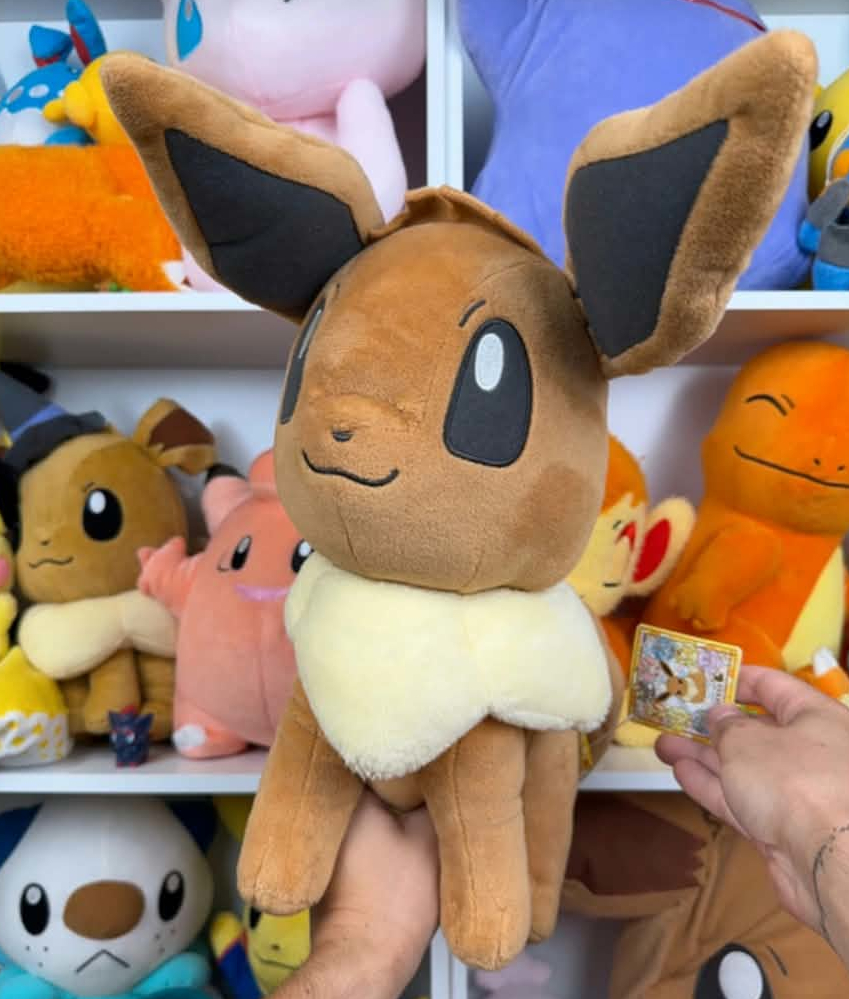 peluche pokemon -12