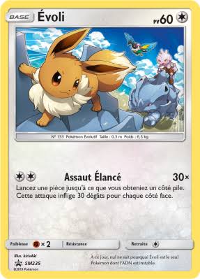 carte sm235 fr