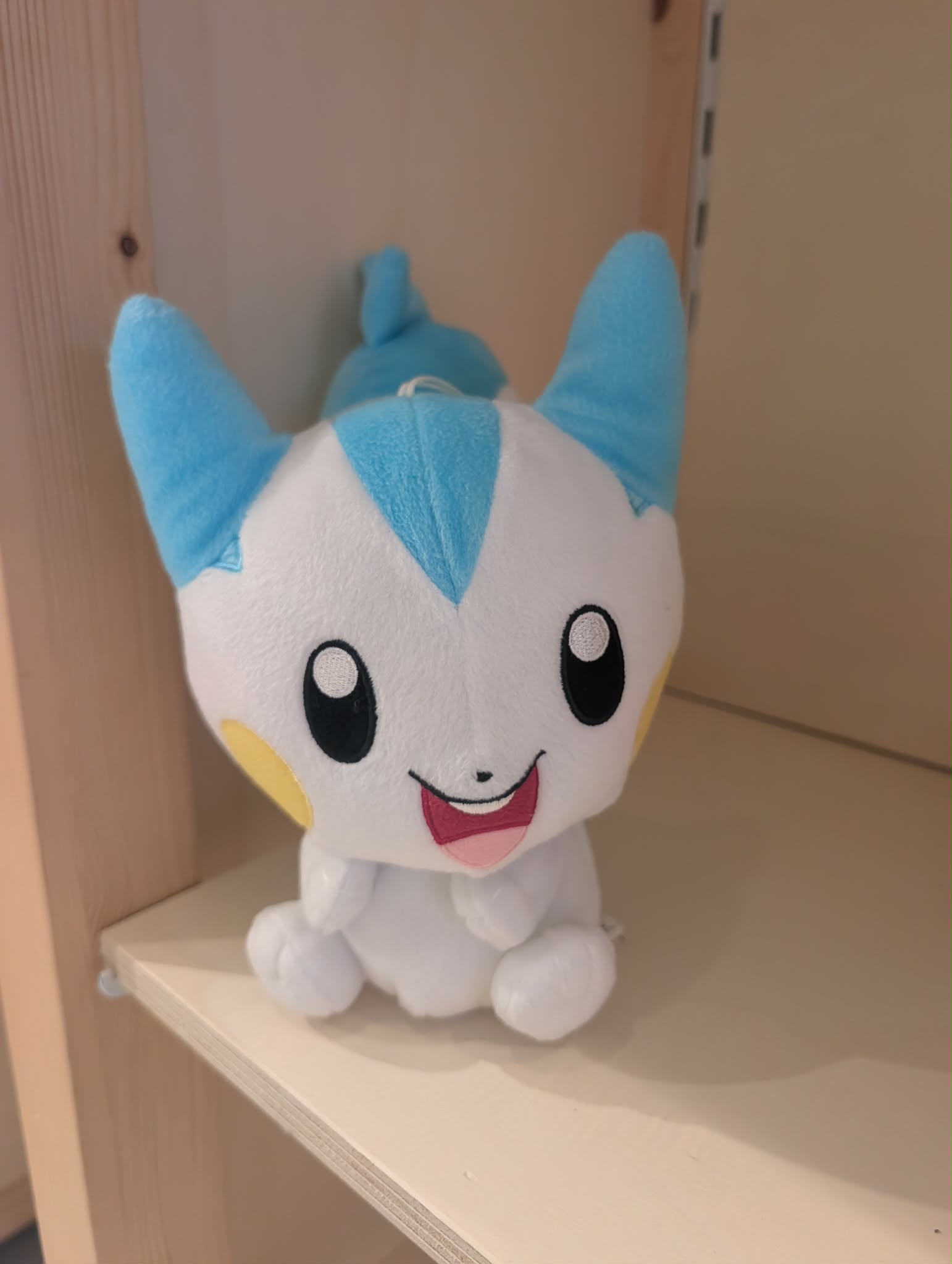 pachirisu pas