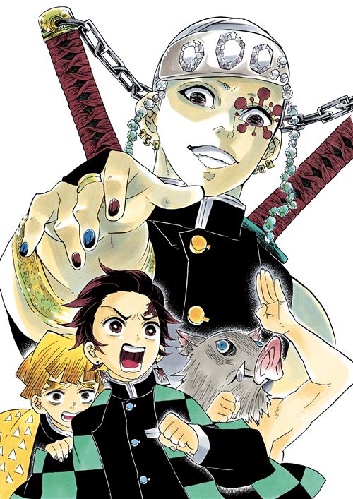 Demon Slayer - : Demon Slayer : Au fil du temps - Recueil d'illustrations