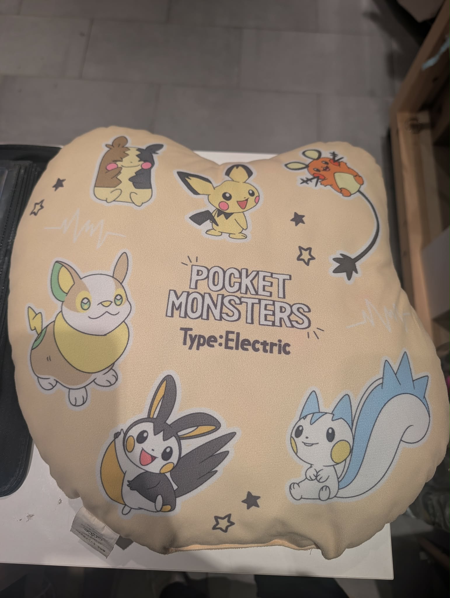 coussin pokemon PAS