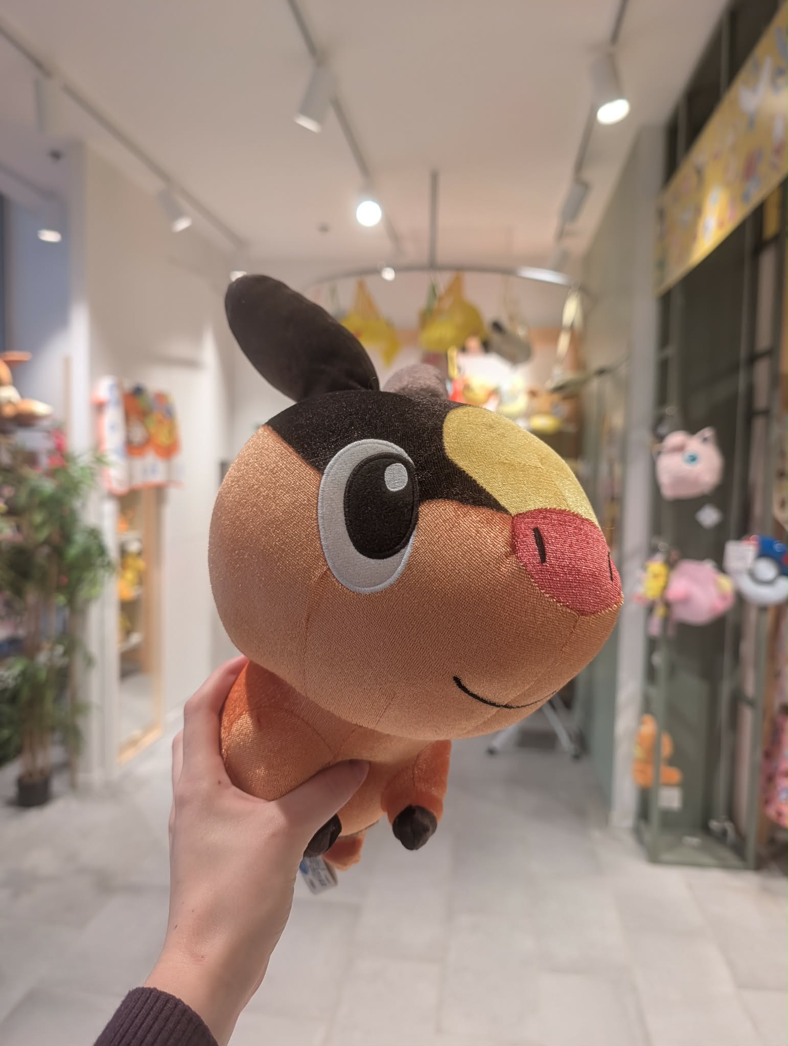 gruikui 2 PAS
