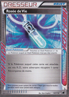CARTE 107/116 FR TIJU