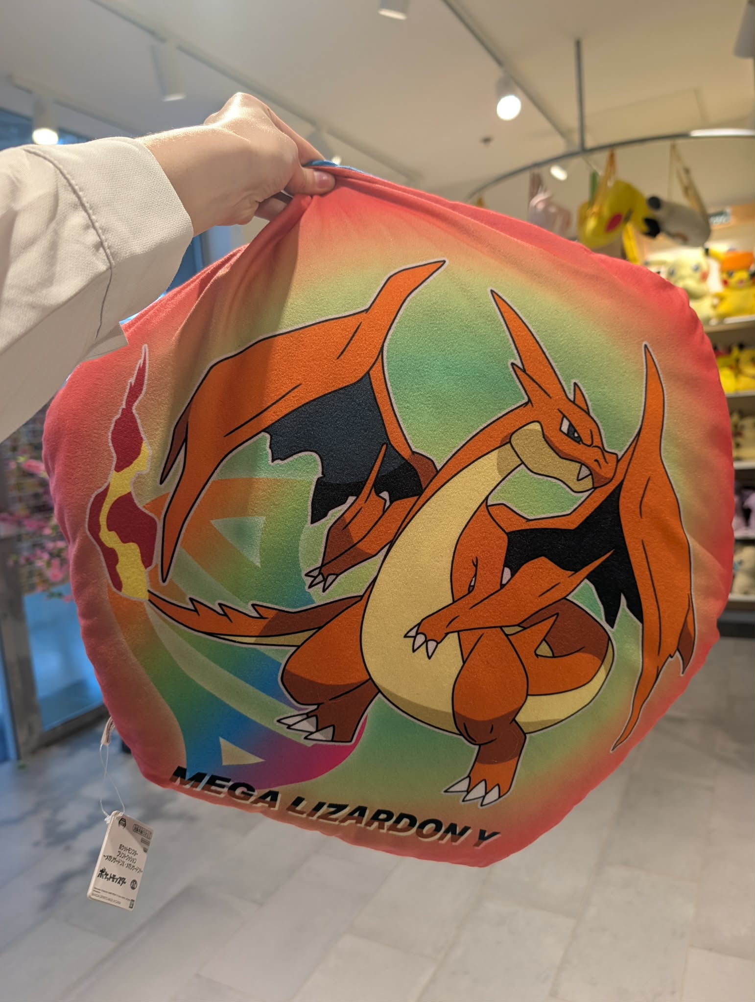coussin dracaufeu PAS
