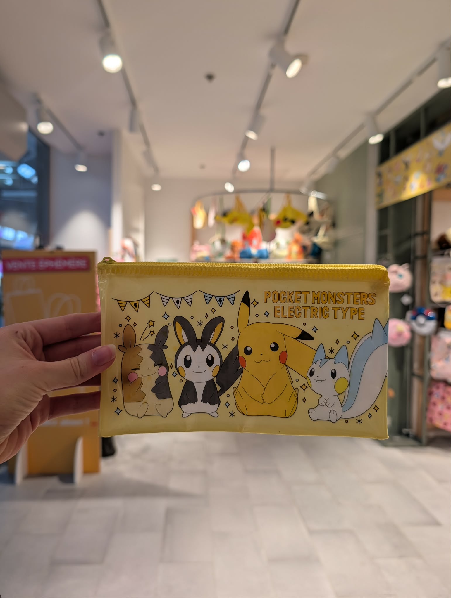 pochette pikachu 3 PAS