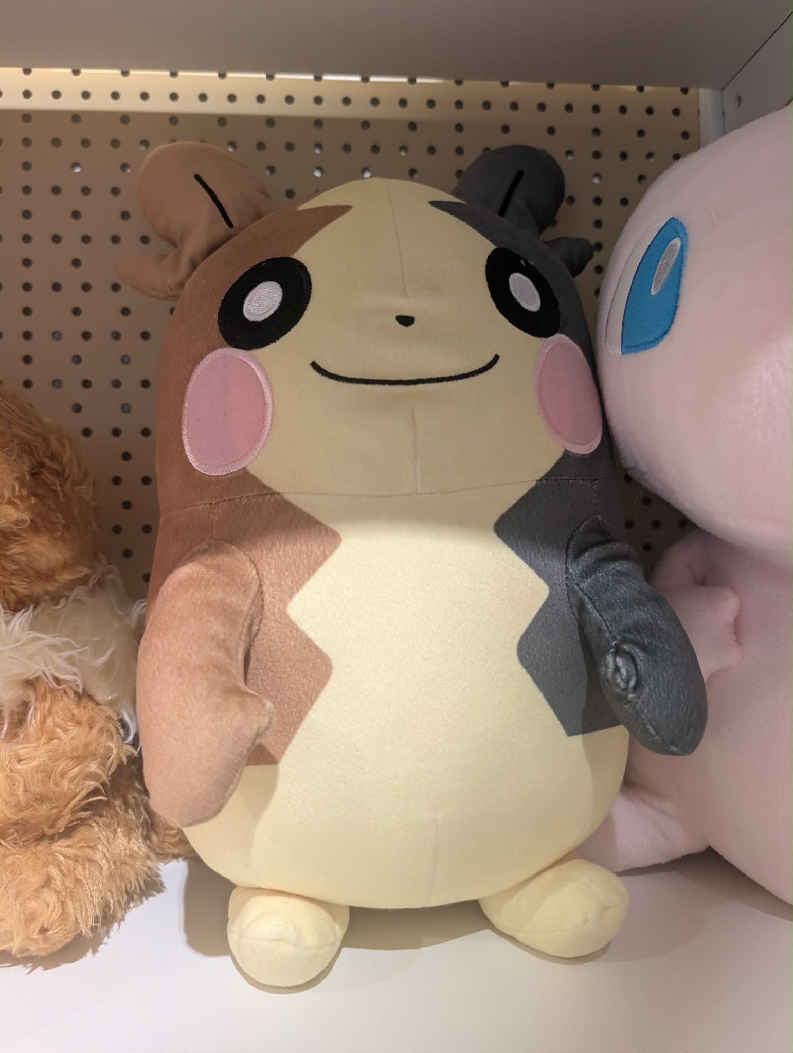 morpeko pas