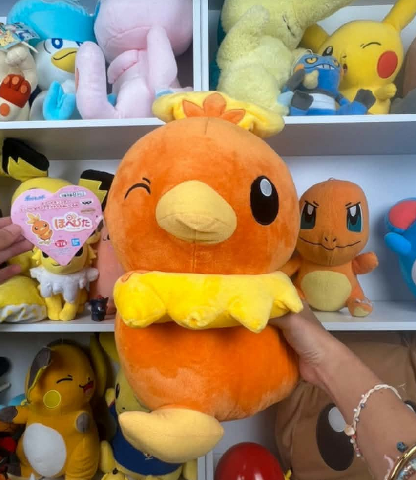 peluche pokemon -25