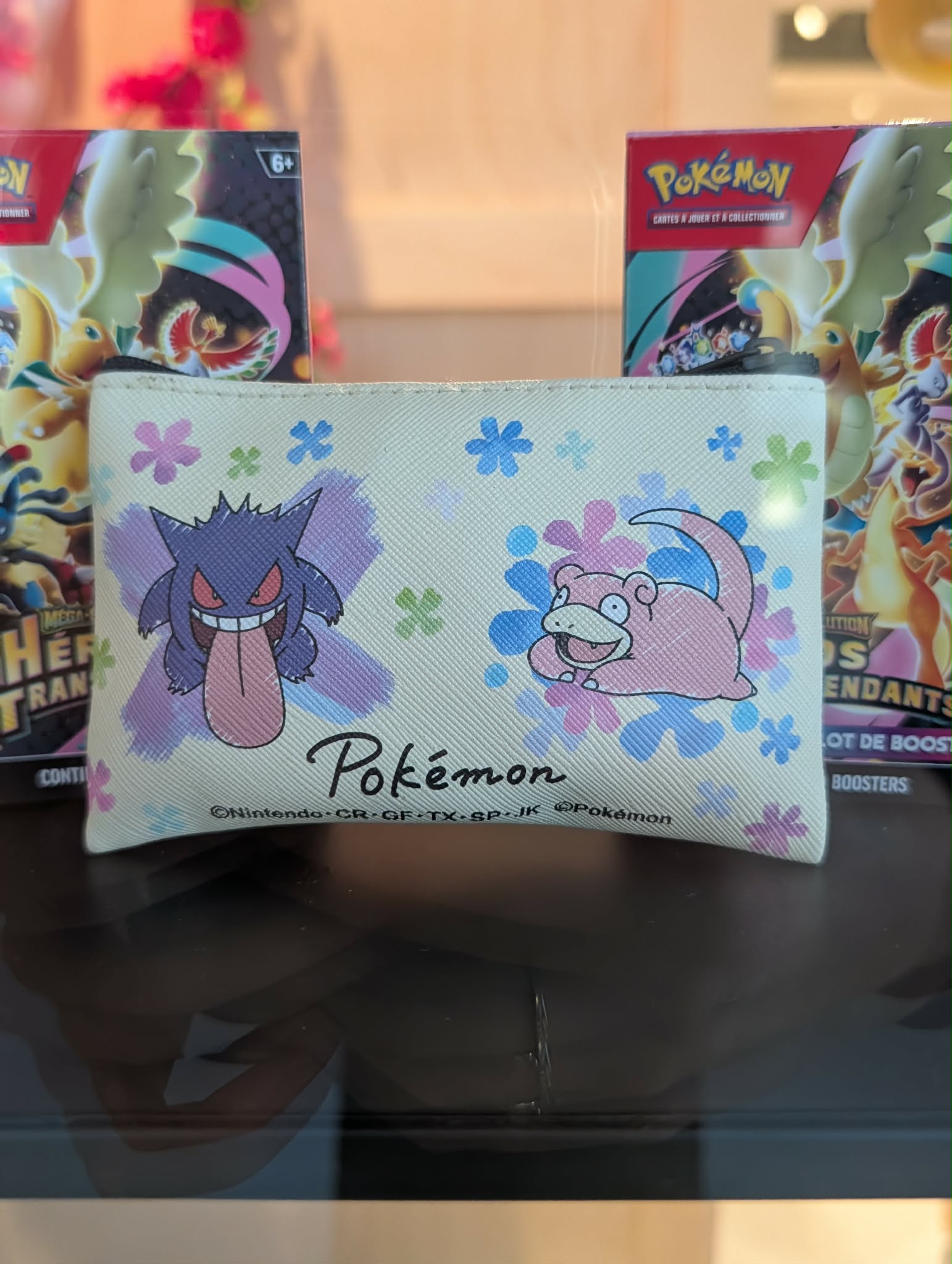 pochette pokemon 5 PAS