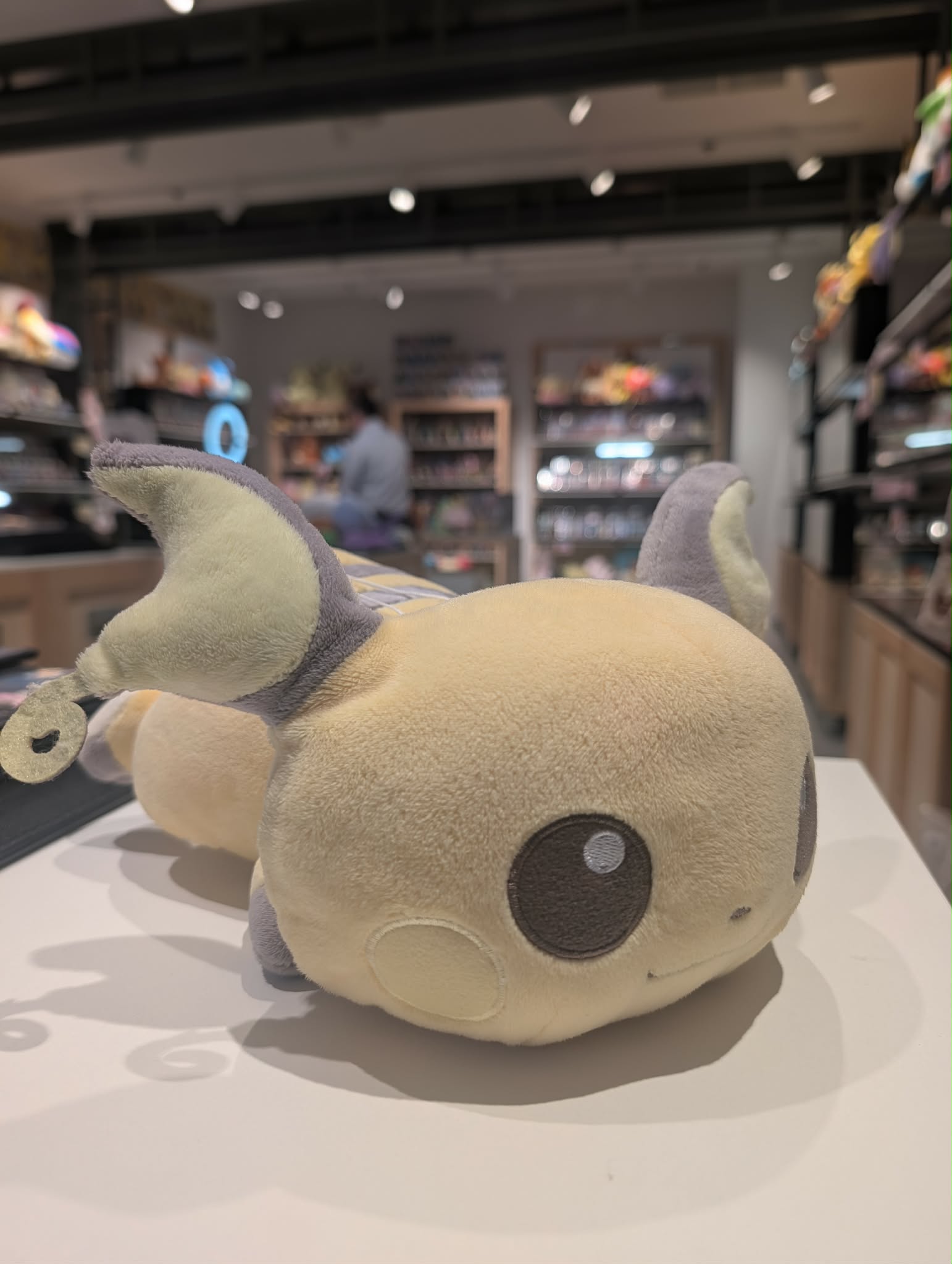 raichu 6 PAS